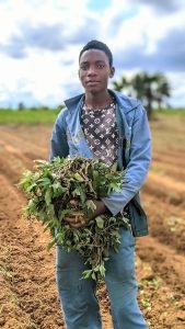 Farmer carrying coffee seedlings