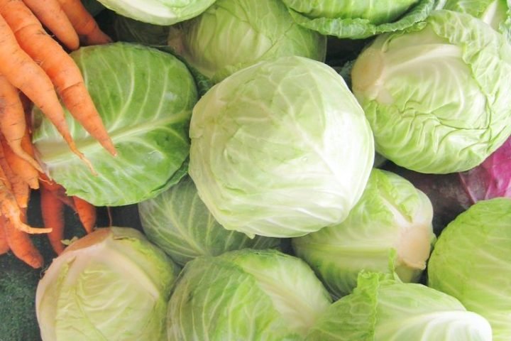 Dedza highland cabbages