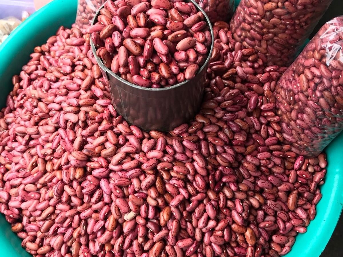 Common beans harvest in Ntcheu