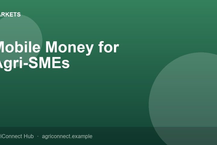 Mobile Money for Agri-SMEs