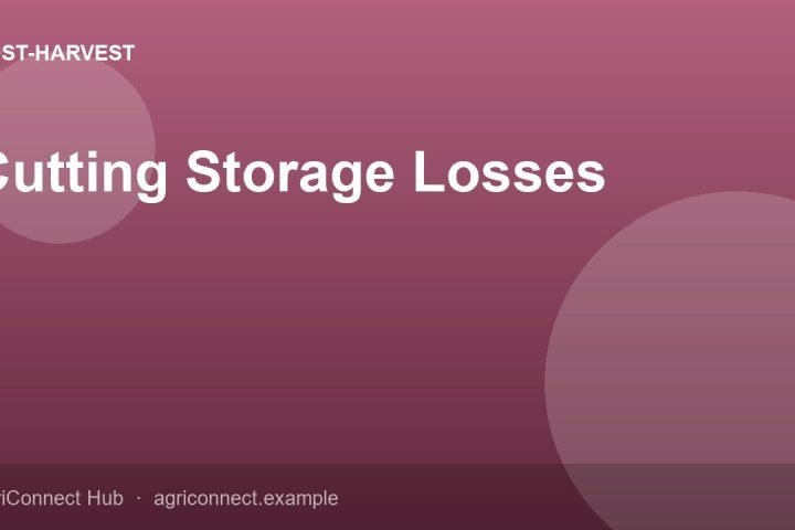Cutting Storage Losses