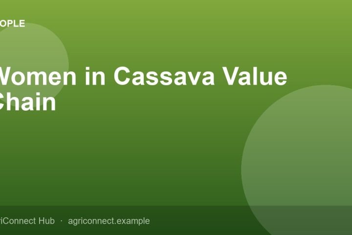 Women in Cassava Value Chain