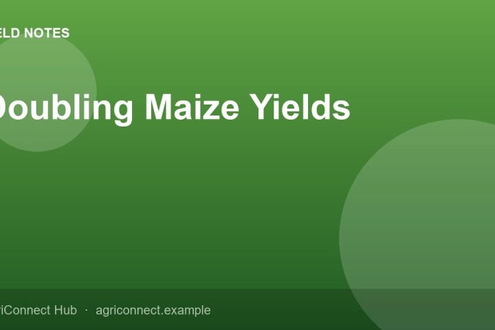 Doubling Maize Yields